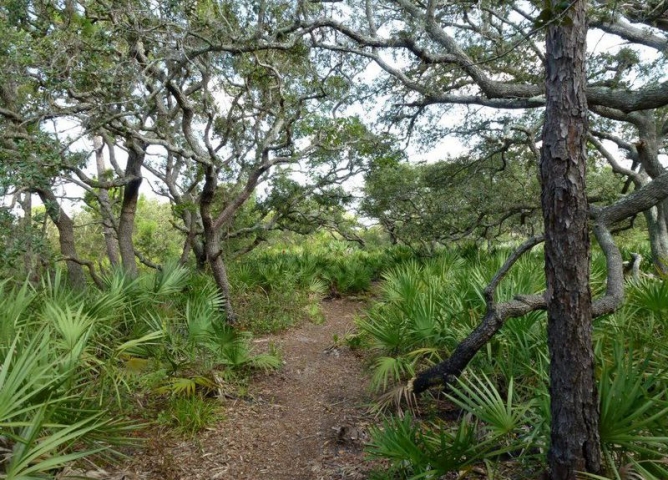 Malabar Scrub Sanctuary Trail 3