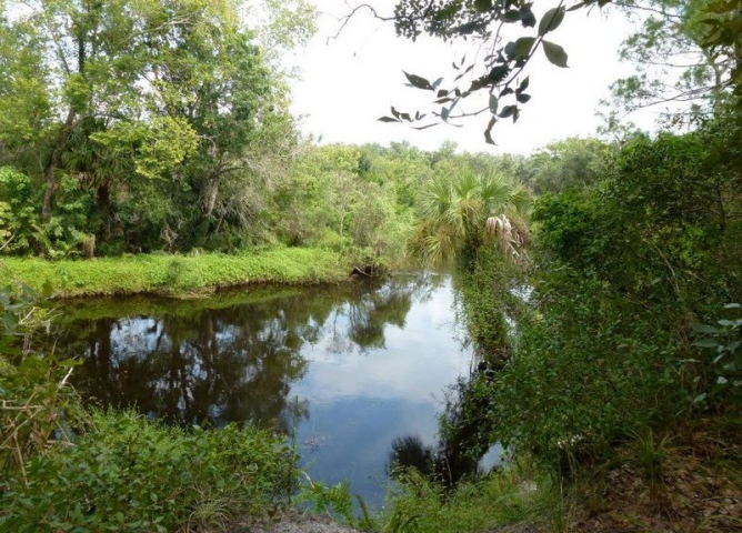 Malabar Scrub Sanctuary Pond