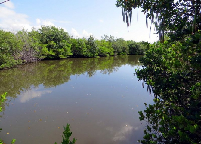 Ulumay Wildlife Sanctuary River