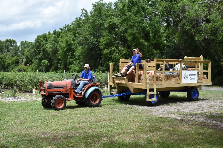 Ever After Farms Tractor Ride