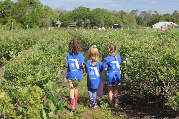 Ever After Farms Kids in Field