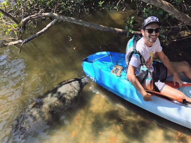 Cocoa Kayaking Manatee