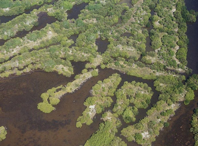 Thousand Islands Conservation Area View From Air 3