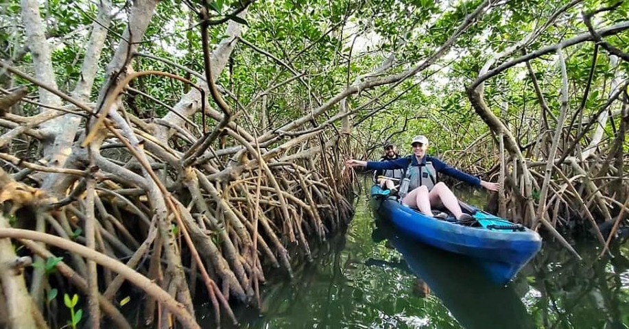Cocoa Kayaking Mangrove Kayaking