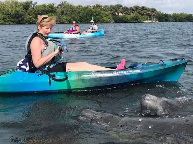 Cocoa Kayaking Manatees