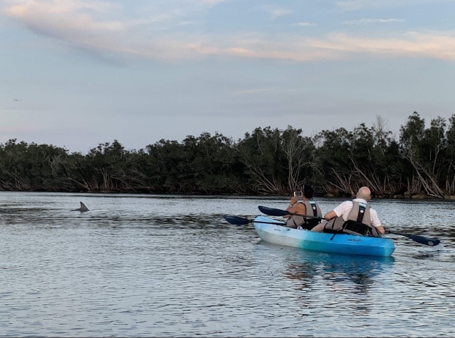 Cocoa Kayaking Dolphin Fin
