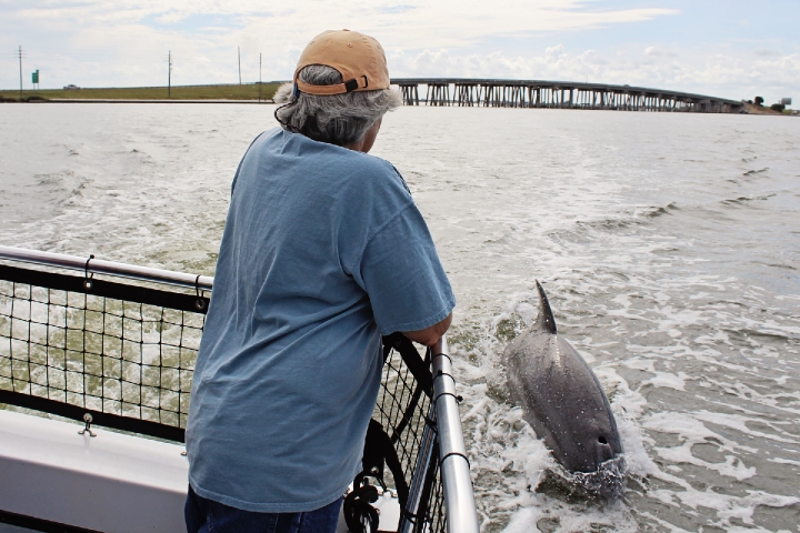 Time and Tide Hanging with Dolphin