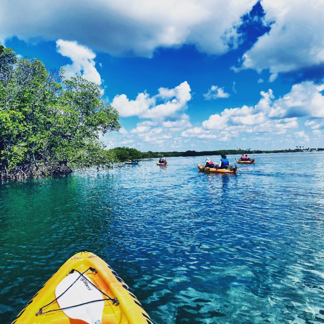 Stella Maris Environmental Research Kayaking