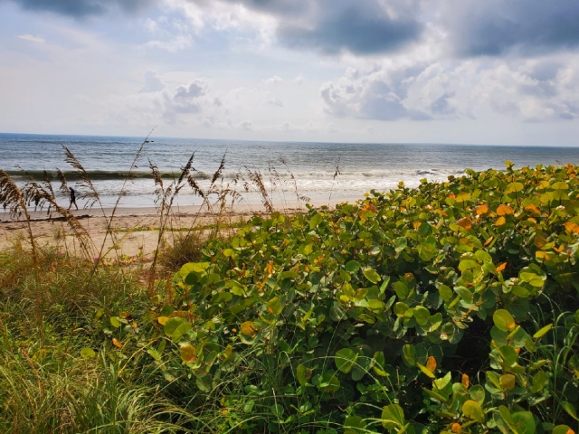 Crowne Plaza Melbourne Oceanfront Beach View