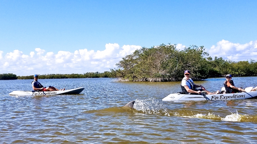 Fin Expeditions Kayaking Group on the Water