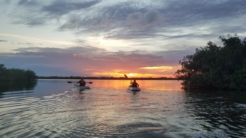 Fin Expeditions Kayaking Sunset Kayaking