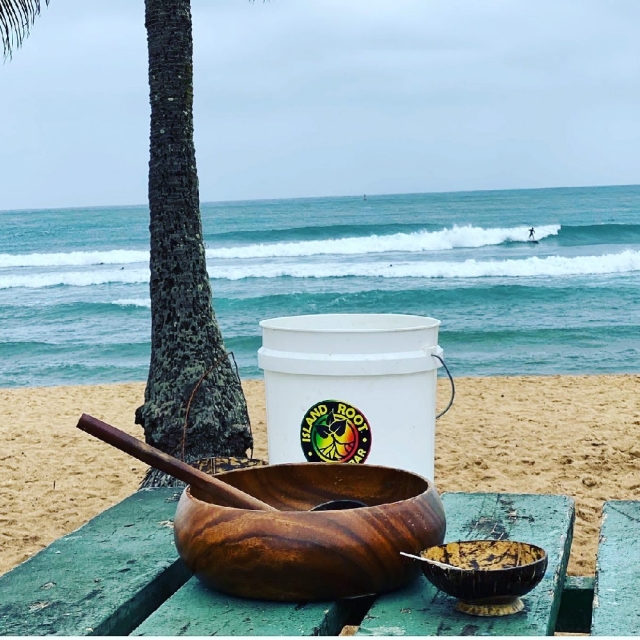 Island Root Kava Bar Beach View