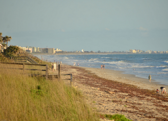 Bicentennial Beach Park Beach Area