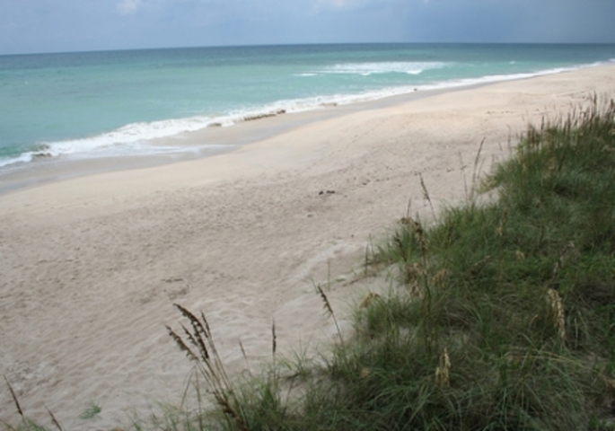 Floridana Beach Beach View