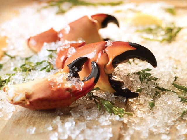 Florida's Fresh Grill Florida Stone Crab Claws