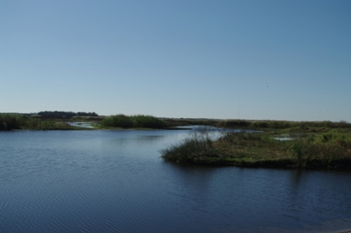 Hatbill Park View of Water