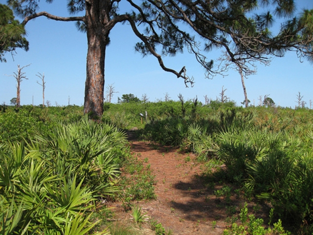 Helen and Allan Cruickshank Sanctuary Trail 2