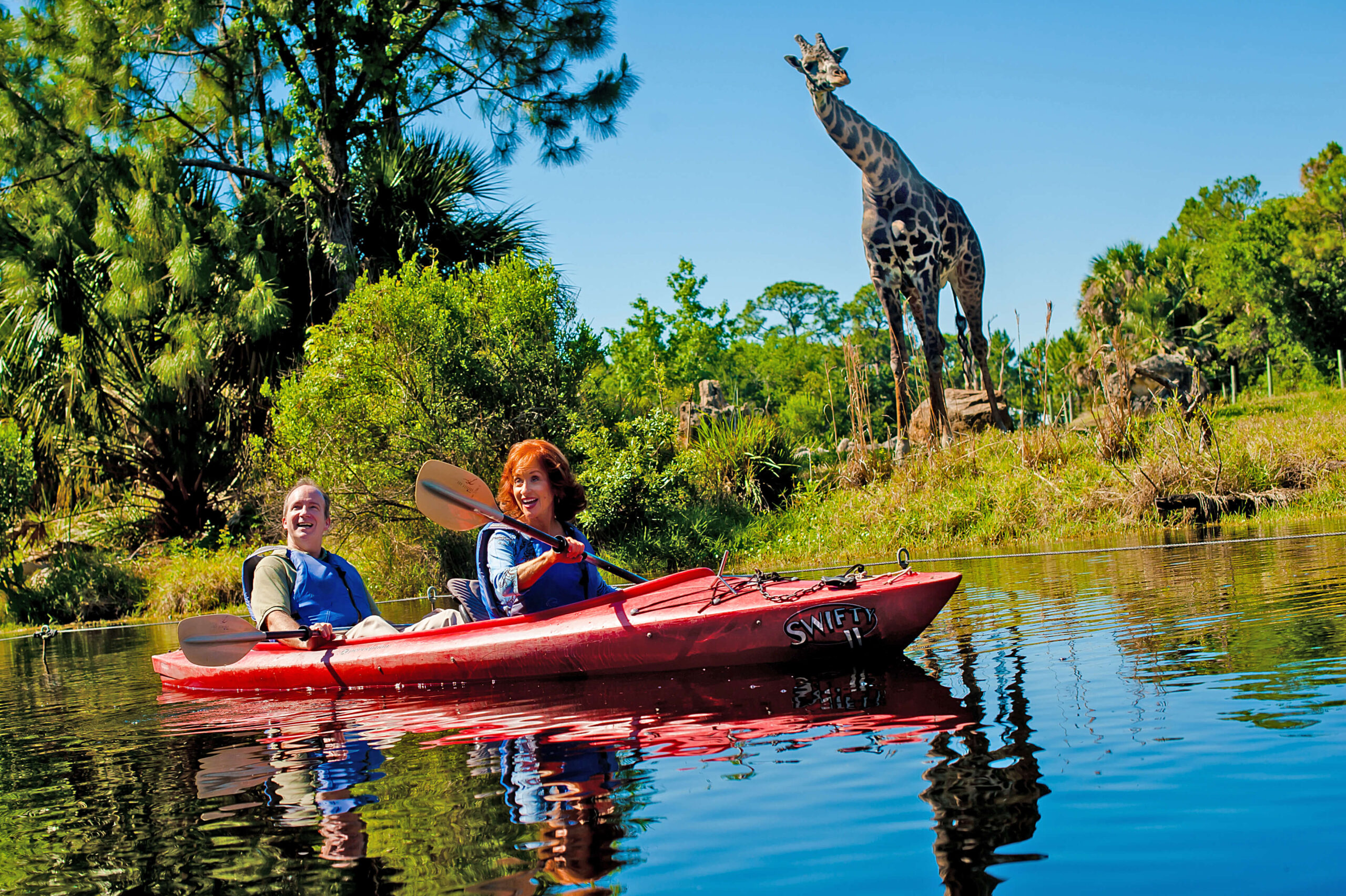 See giraffes during the kayak tour at the Brevard Zoo in Viera, FL