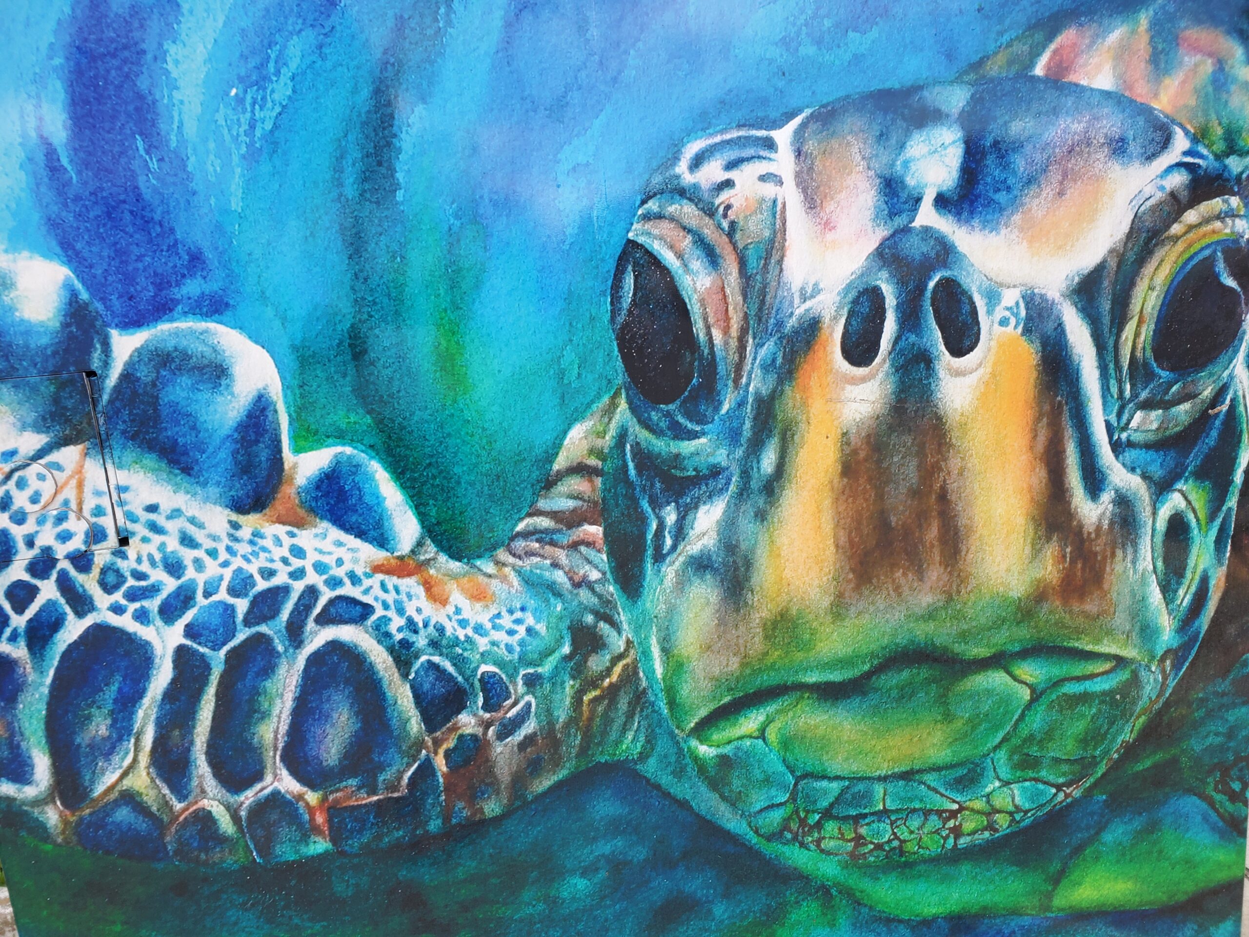 Sea Turtle Painting