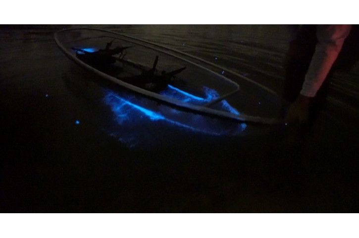 Get Up And Go Kayaking 1