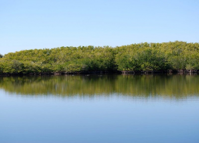 Sams House at Pine Island Conservation Area Water VIew