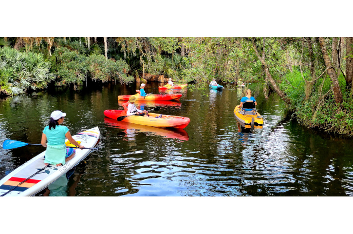 Kayakers on the water