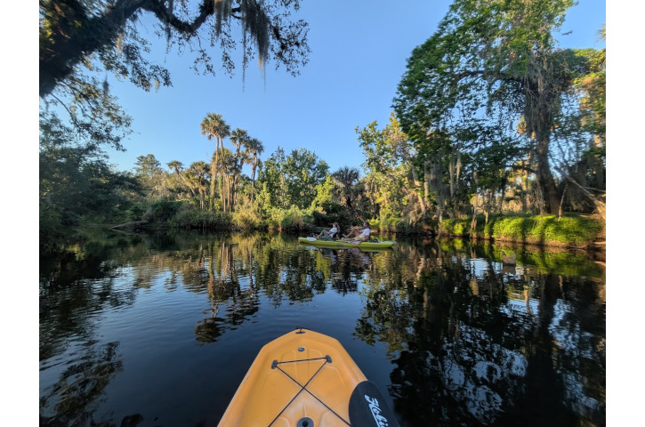 Paddling Paradise 1