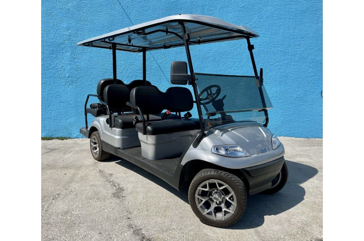 Space Coast Cart Rentals Cart 2