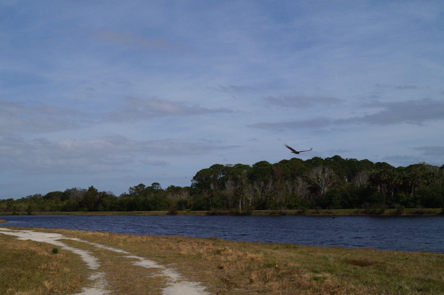 Pine Island Conservation Area Artwork