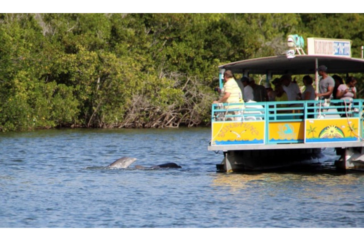 Cocoa Beach Dolphin Tours Ship 02