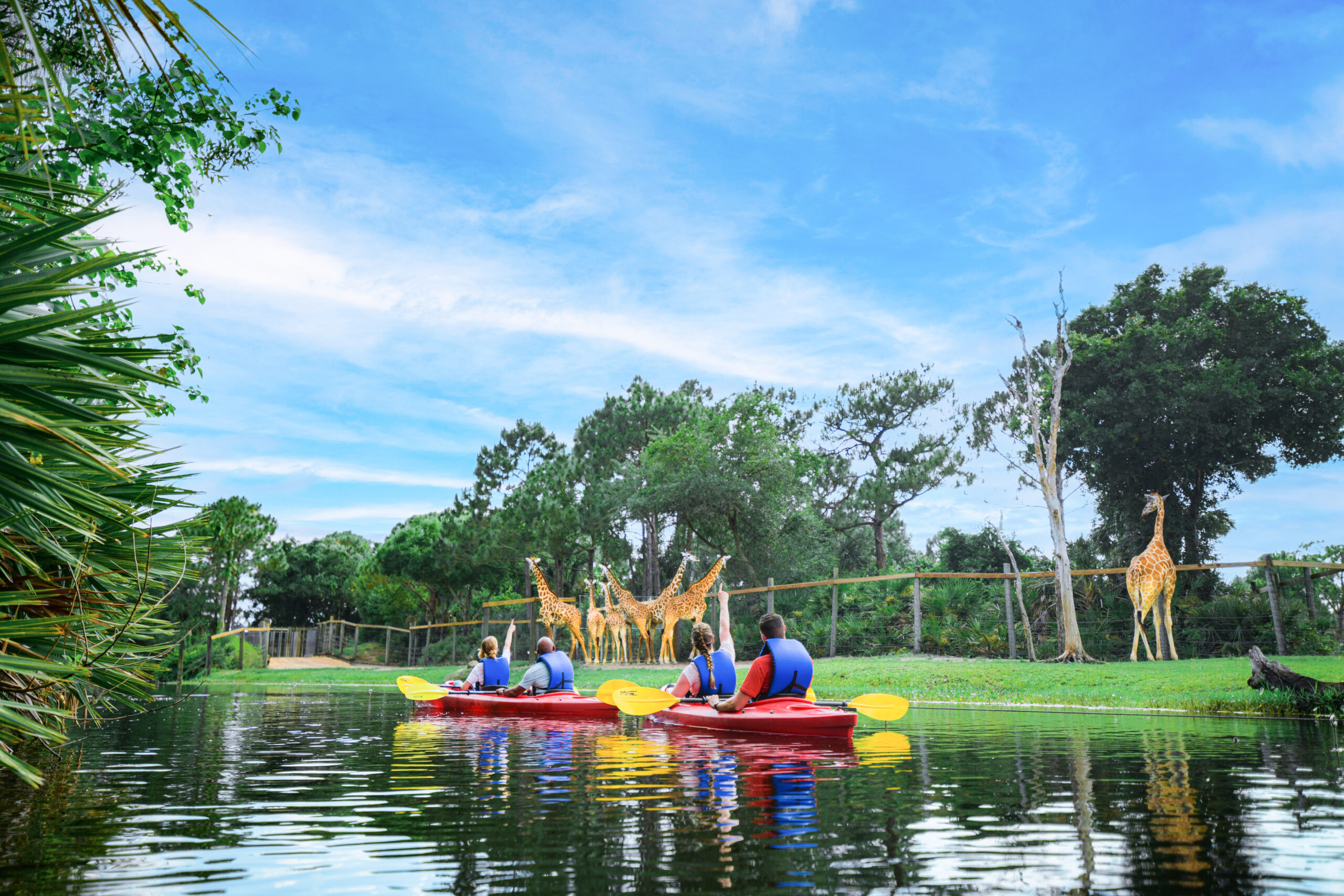 Kayaking at Zoo