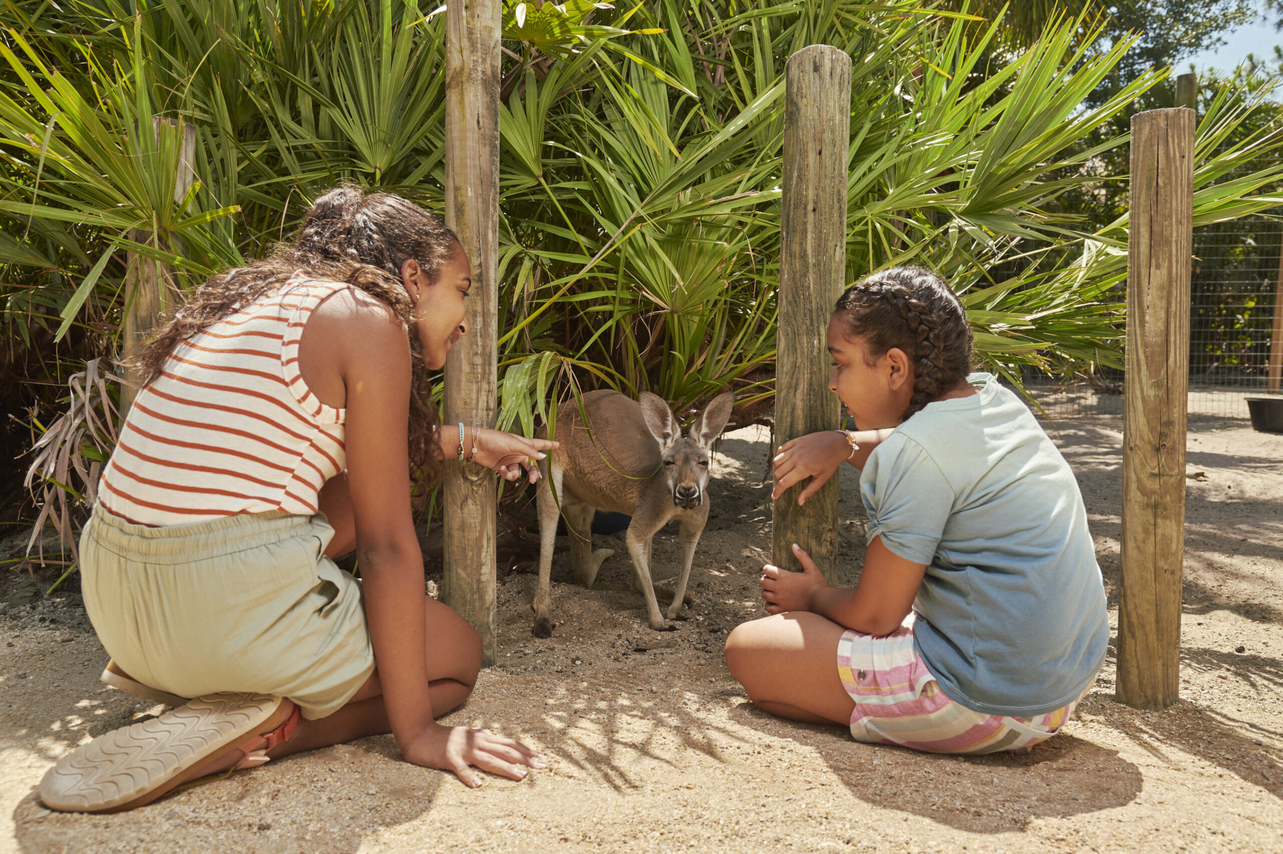 girls in lands of change with kangaroo