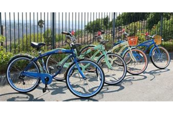 Bikes lined up near a gate