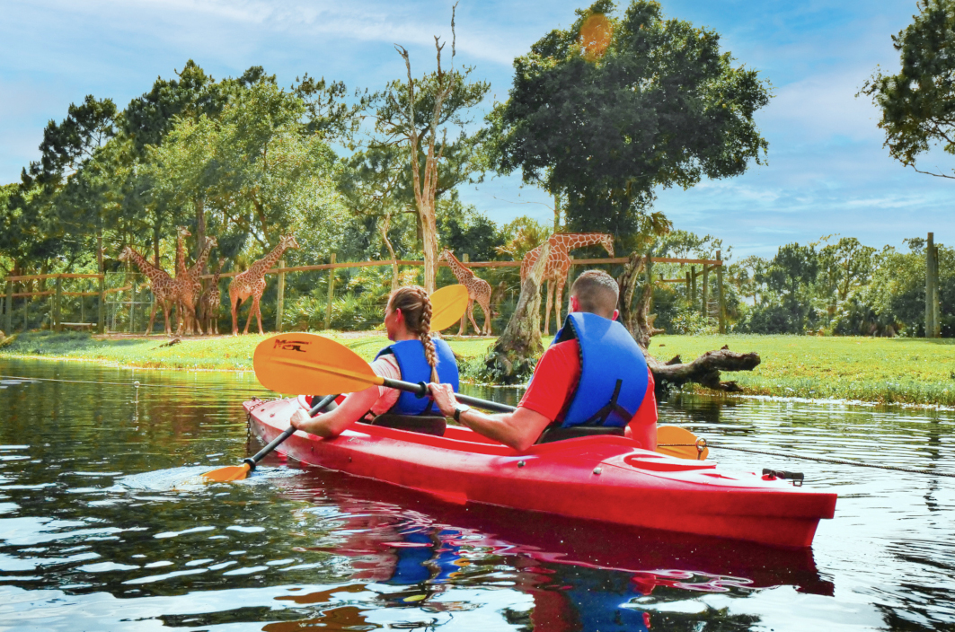 Couple Kayaks past giraffes at Brevard Zoo