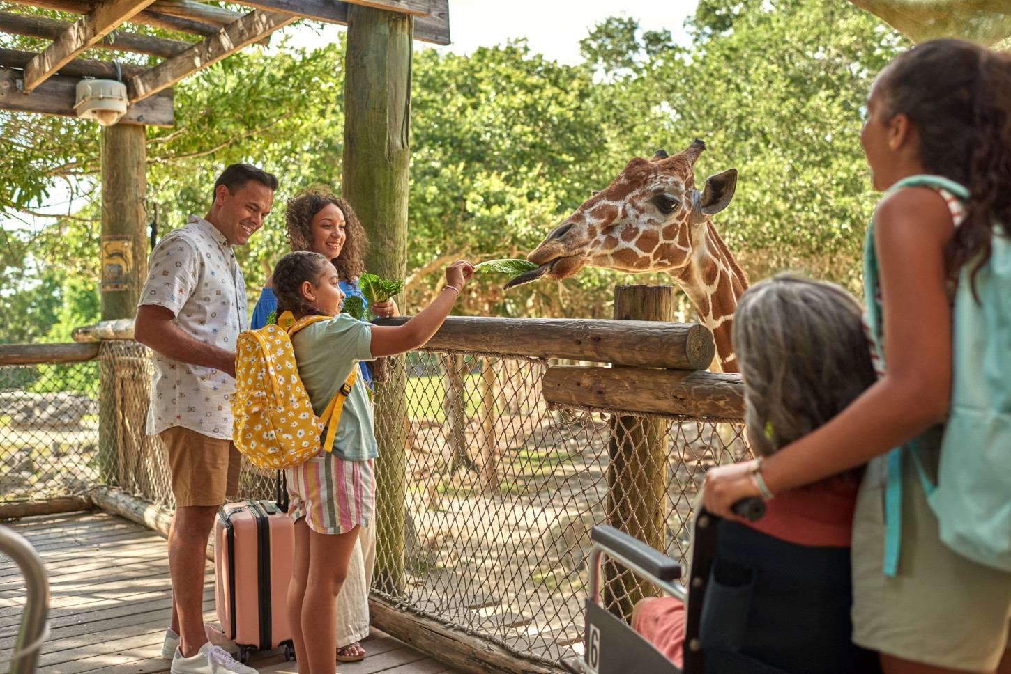 Family Feeds a Giraffe at Brevard Zoo