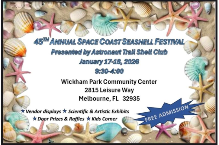 45th Annual Space Coast Seashell Festival Flyer