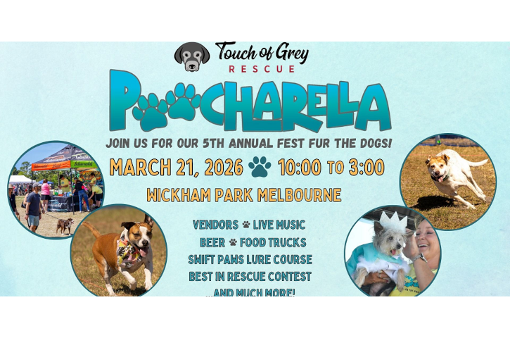 Poocharella Banner