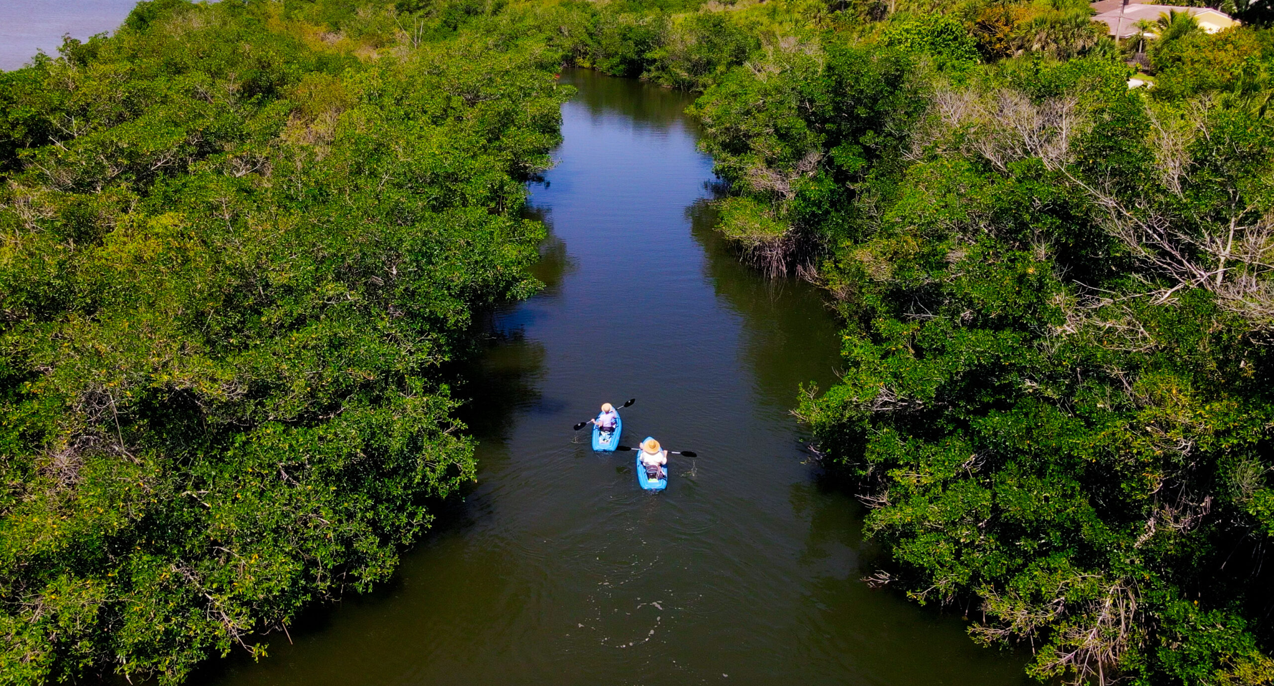 kayaking in the indian river lagoon