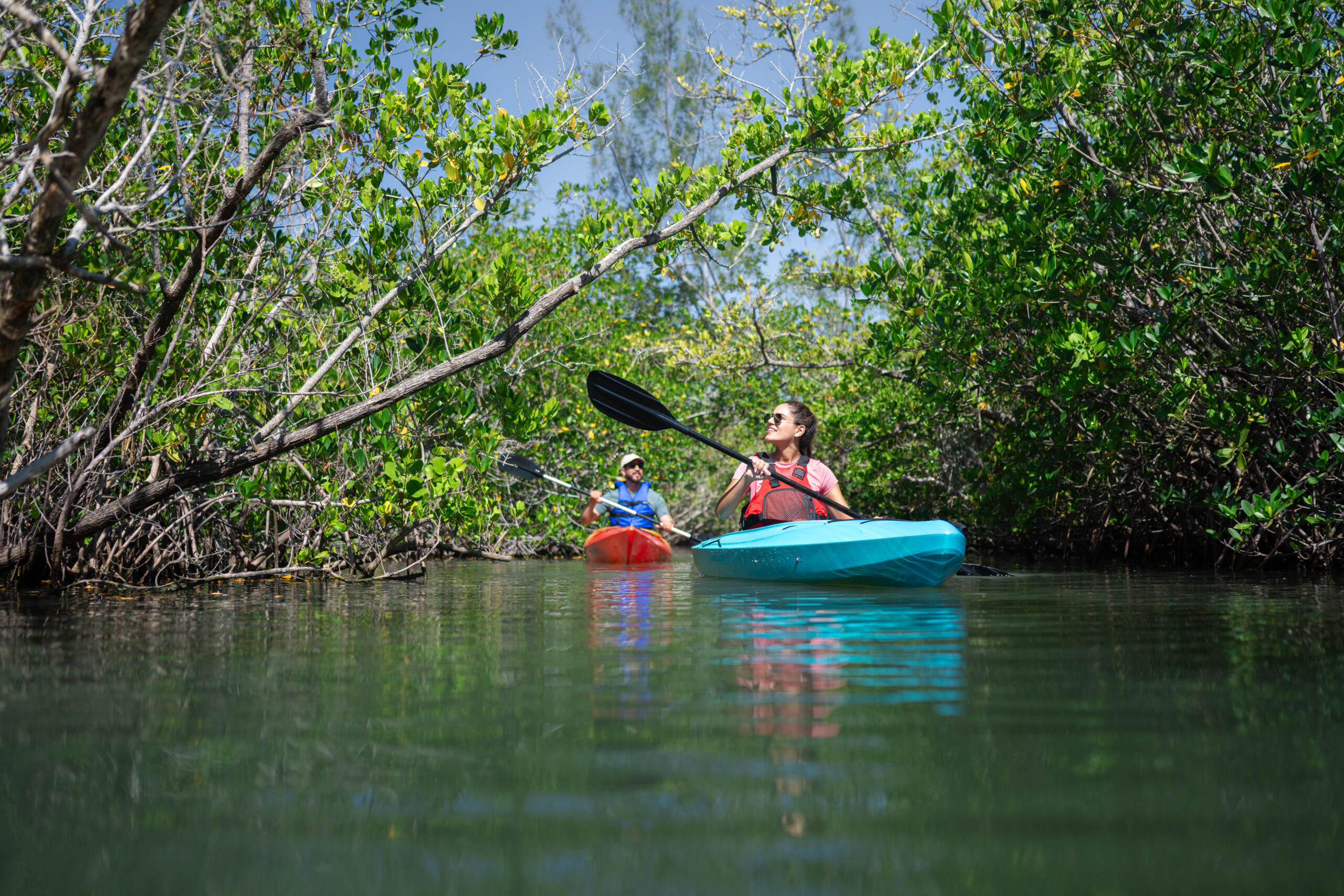 kayaking in the thousand islands conservation area