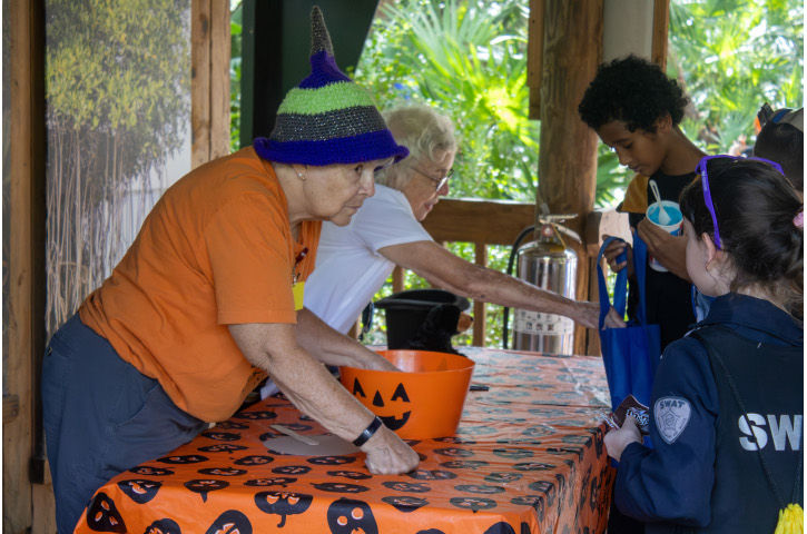 boo at the zoo trick or treat