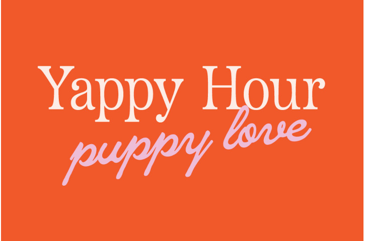The Avenue Viera's Yappy Hour Puppy Love