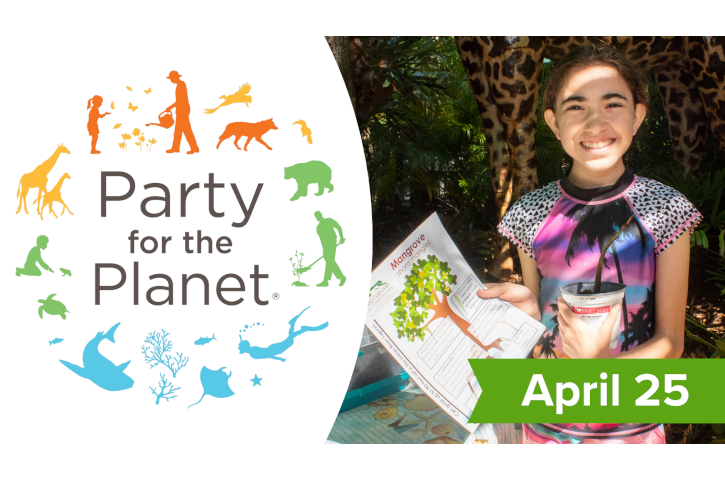Party for the Planet Flyer