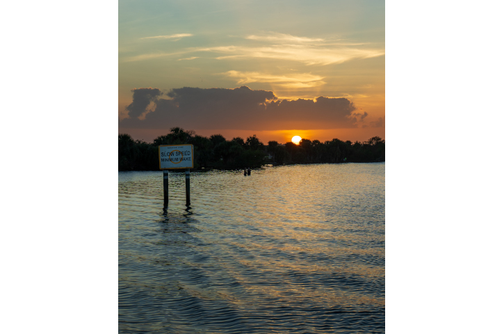 Sail to Wellness 4