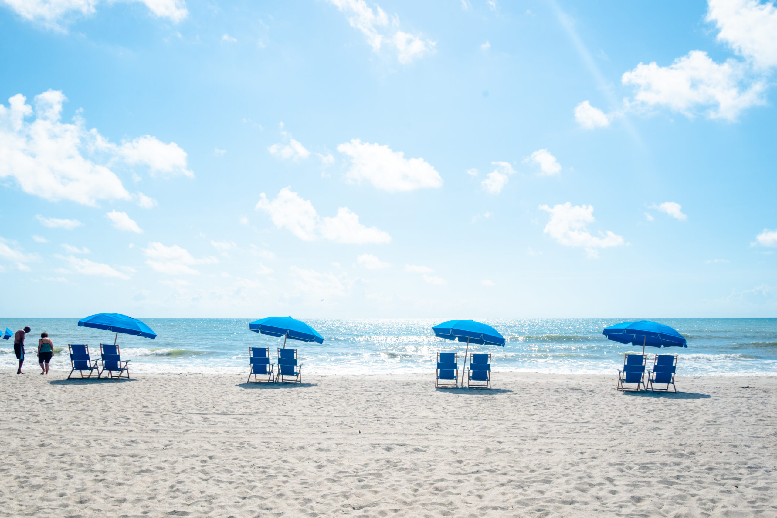 beach umbrellas set up at the beach