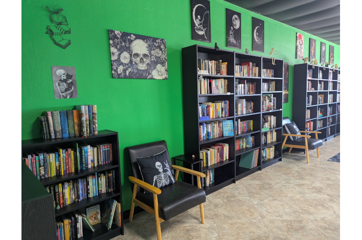 Skull & Books VR Interior 1