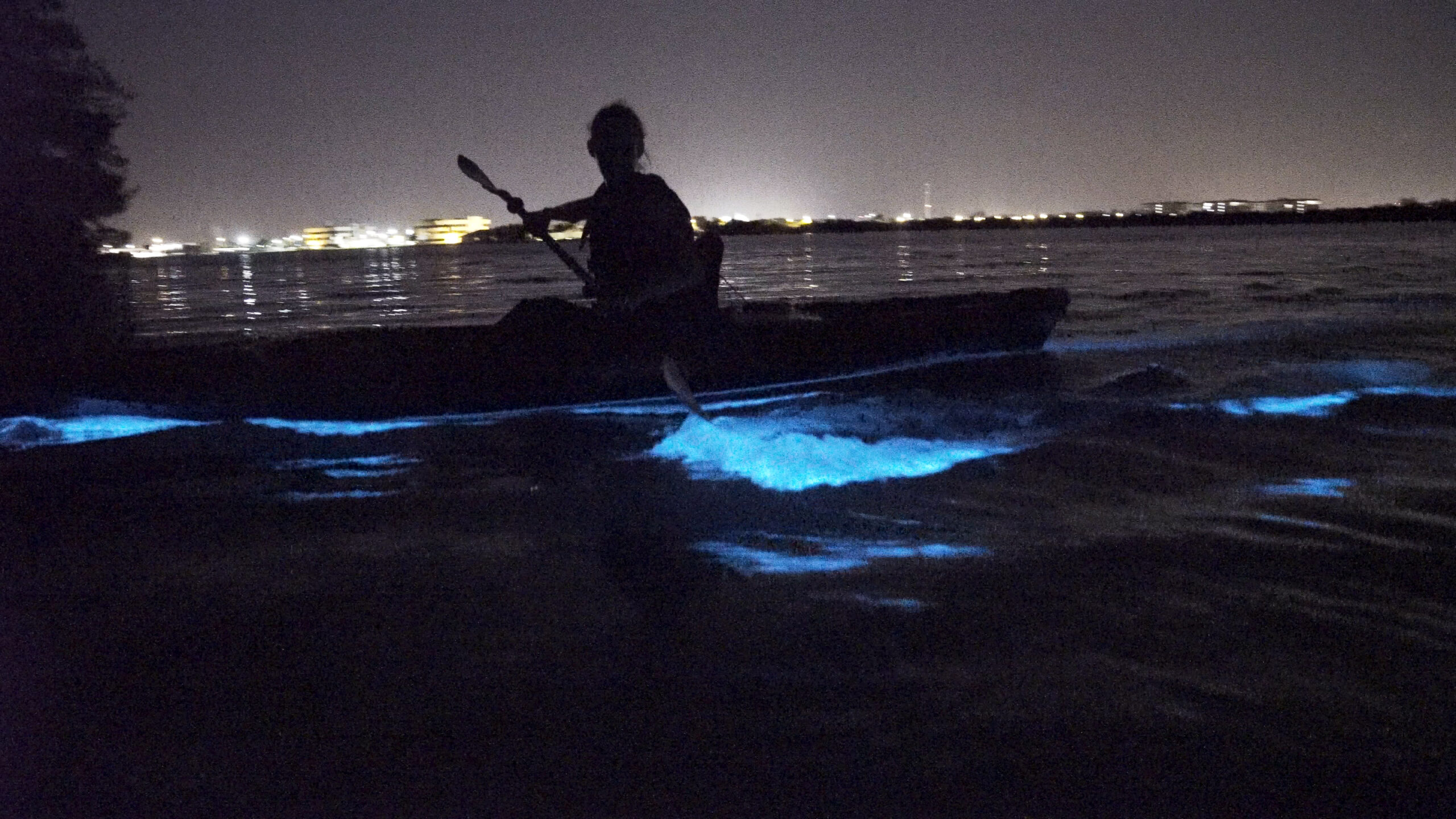 a day away kayaking in bioluminescent waters