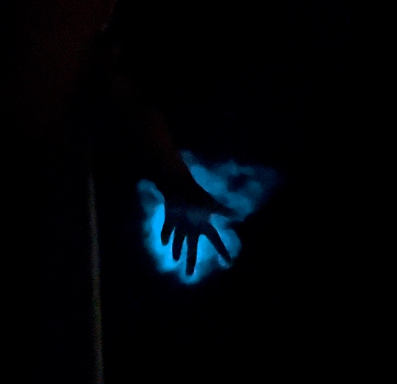 Space Coast Eco Tours bioluminescent hand in lagoon
