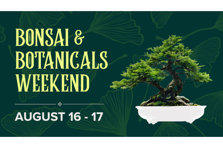 Bonsai & Botanicals Banner