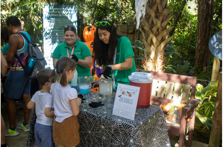 Boo at the Zoo 1
