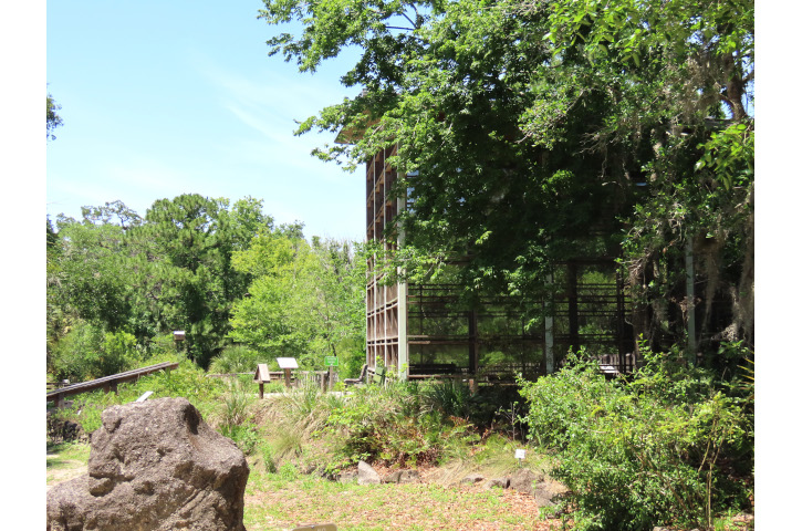 Enchanted-Forest-Education-Center-3